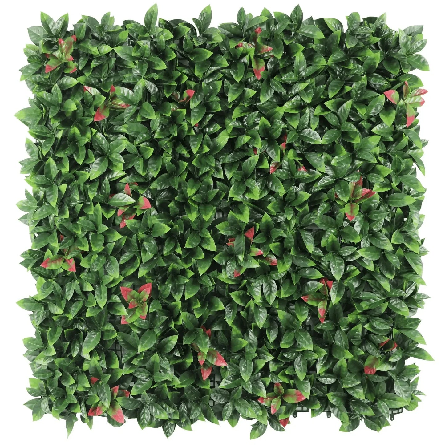 Photinia Artificial Vertical Garden Green Wall Panel 40×40in 11 SQ FT – UV Resistant – Commercial Grade