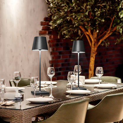 Poldina Cordless Rechargeable LED Table Lamp