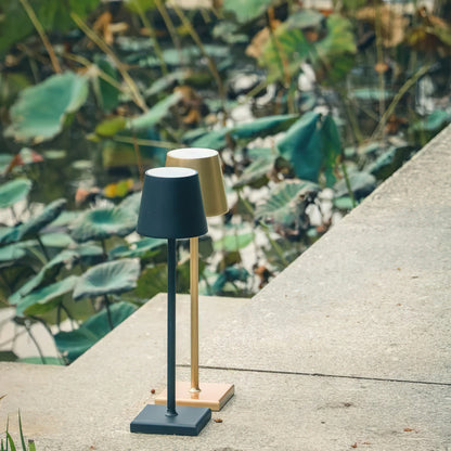Poldina Cordless Rechargeable LED Table Lamp