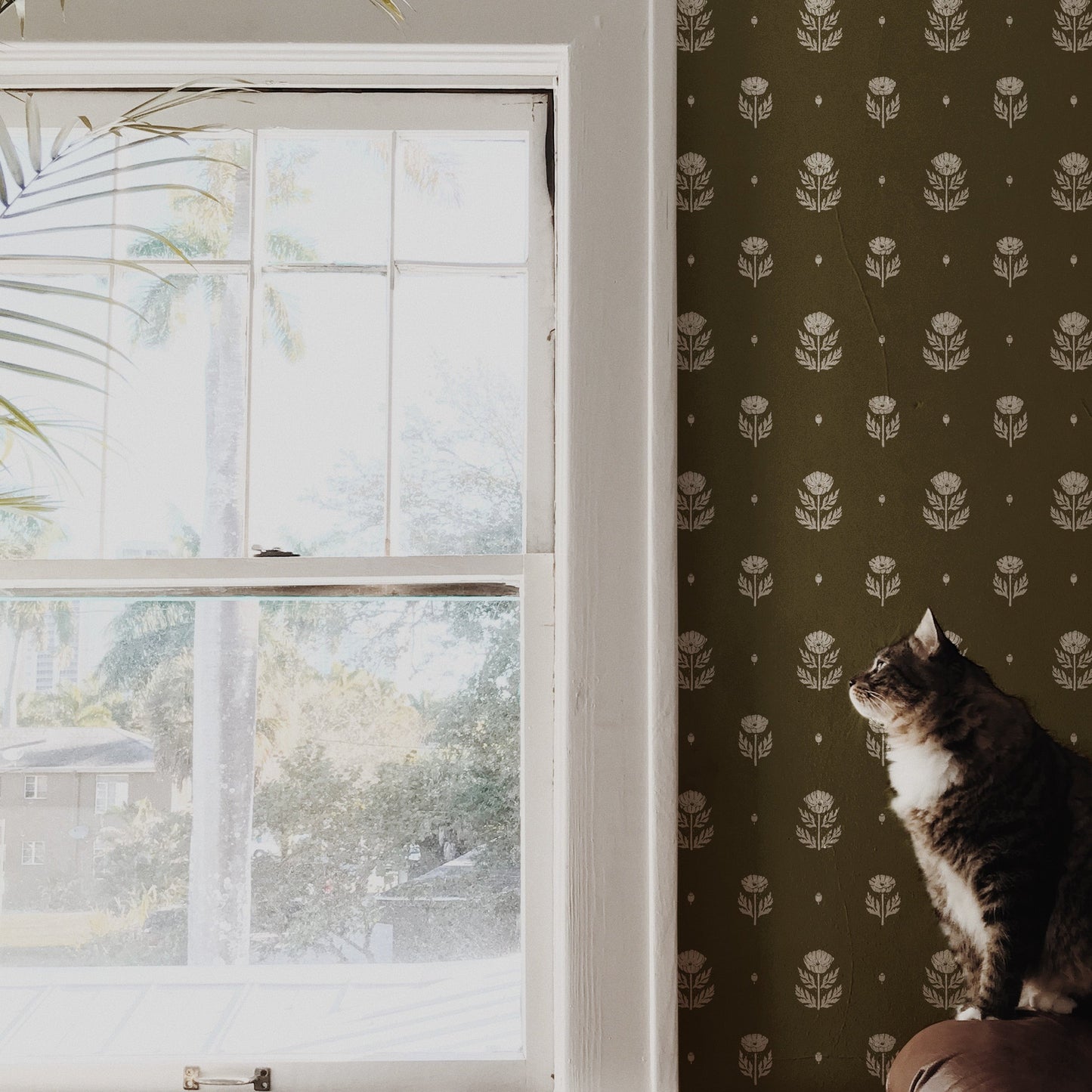 Delaney Wallpaper by Mackenzie Nelson