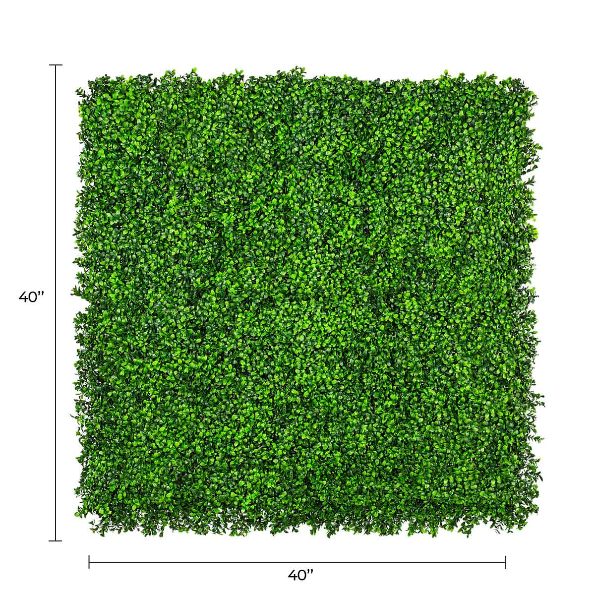 Bright Boxwood Artificial Vertical Garden Green Wall Panel 40×40in 11 SQ FT – UV Resistant – Commercial Grade