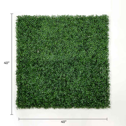Dark Boxwood Artificial Vertical Garden Green Wall Panel 40×40in 11 SQ FT – UV Resistant – Commercial Grade
