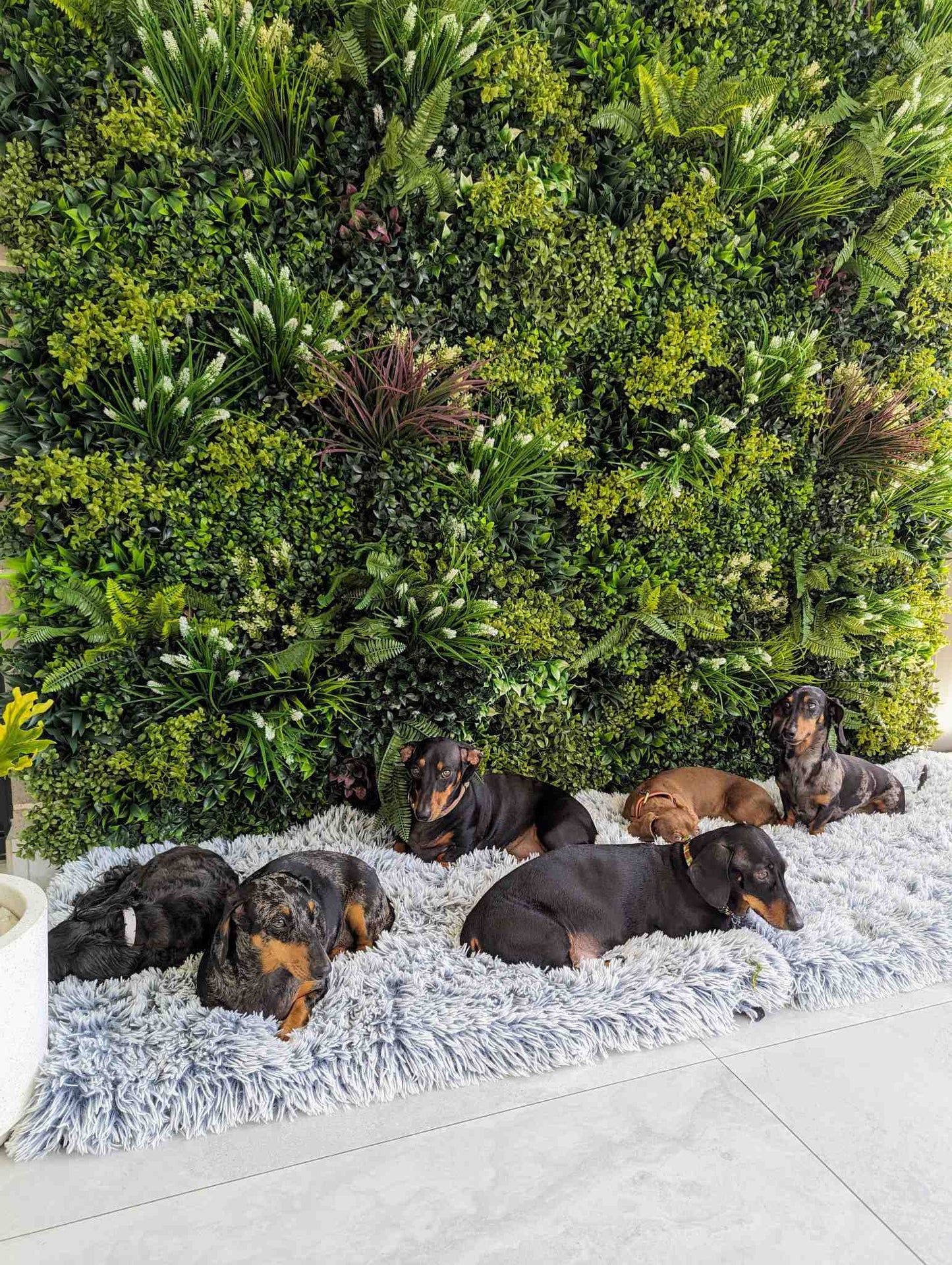 Lush Spring Artificial Vertical Garden Green Wall Panel 40×40in 11 SQ FT – UV Resistant – Commercial Grade