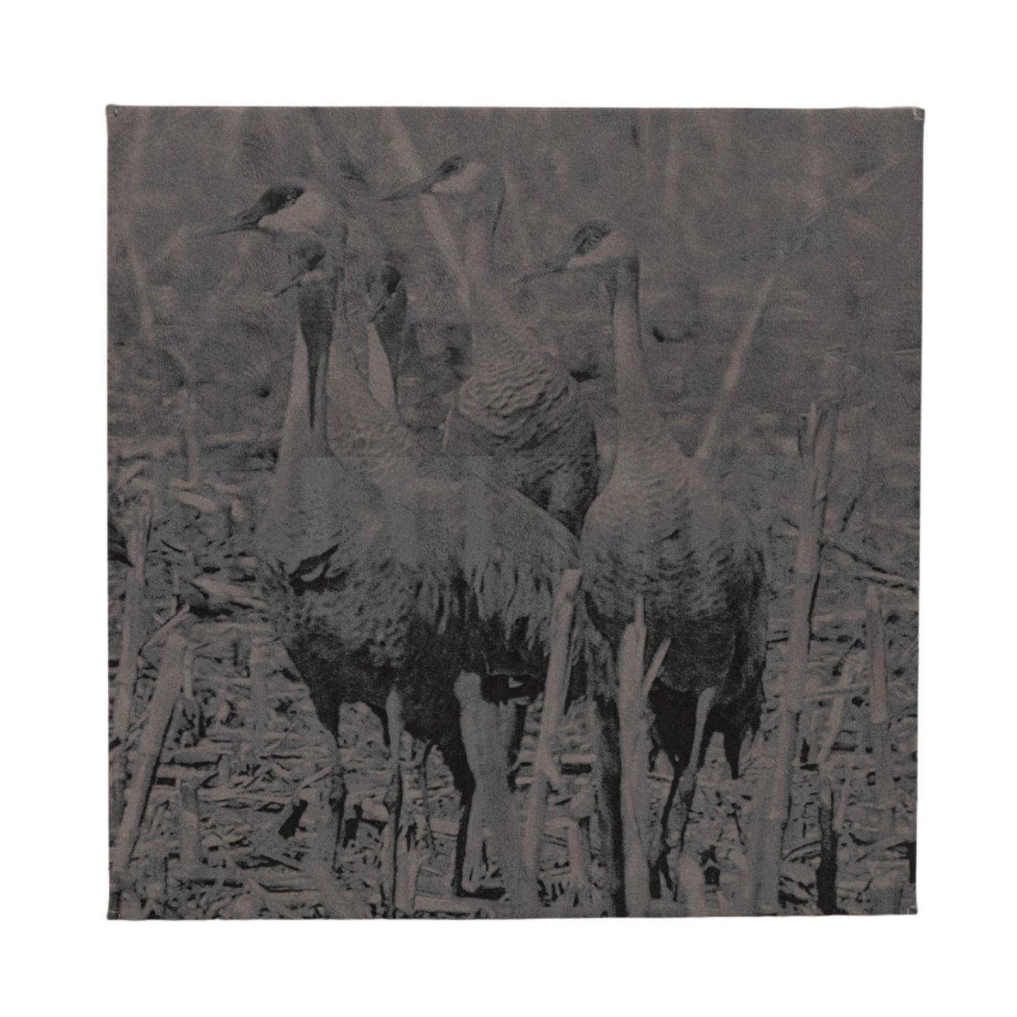 Leather Crane Canvas | 10" x 10" | RCK Creations and More
