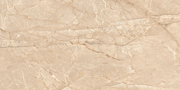 Rock William Nero Carving-series 24x48 Vitrified Tiles - NACS Collection