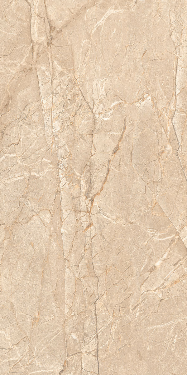 Rock William Nero Carving-series 24x48 Vitrified Tiles - NACS Collection