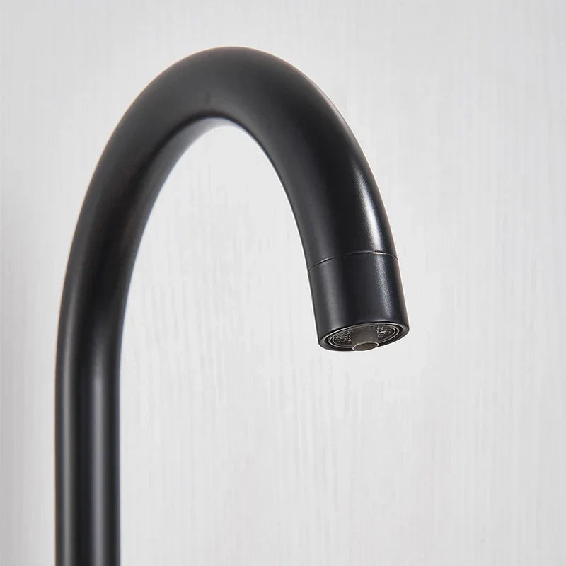 DecorBites™ Black Purified Water Kitchen Faucet Hot Cold Mixer Dual Handles Drinking Water Tap