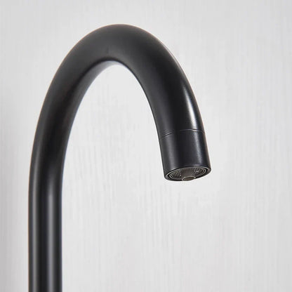 DecorBites™ Black Purified Water Kitchen Faucet Hot Cold Mixer Dual Handles Drinking Water Tap