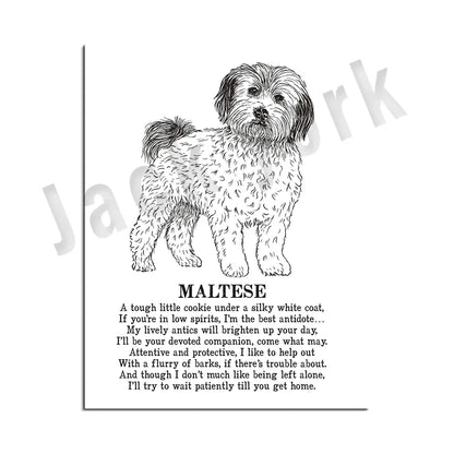 DecorBites™ Dog Breed Poster featuring Rhodesian Ridgeback, Havanese, and More