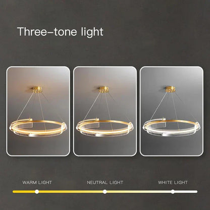 DecorBites™ Gold Ring Chandelier LED Pendant Light Modern Hanging Lamp for Home Decoration