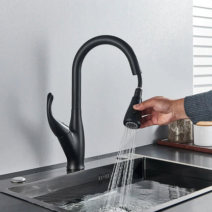 DecorBites™ Kitchen Faucet: Chrome/Black Pull Out Mixer with 2 Function Spout