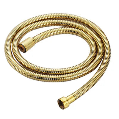 DecorBites™ Antique Gold Handheld Shower Head with Holder and Plumbing Hose