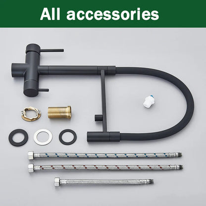 DecorBites™ Black Kitchen Faucet with Pull Down Sprayer and 2-in-1 Purification Technology