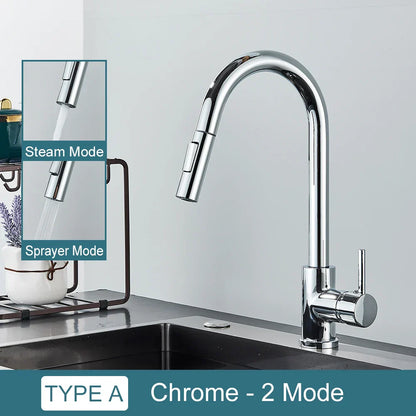 DecorBites™ Black Kitchen Faucet: Single Handle Pull Out Mixer, Two Function Hot and Cold Water Taps