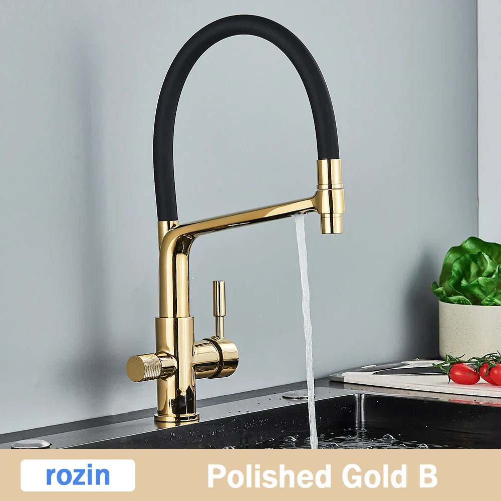 DecorBites™ Brushed Gold Swivel Kitchen Faucet with Purification Function