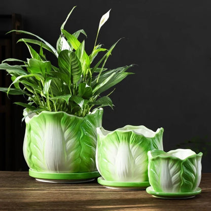DecorBites™ Cabbage Flowerpot with Tray | Creative Cartoon Vegetable Basin | Indoor Garden Flower Vase