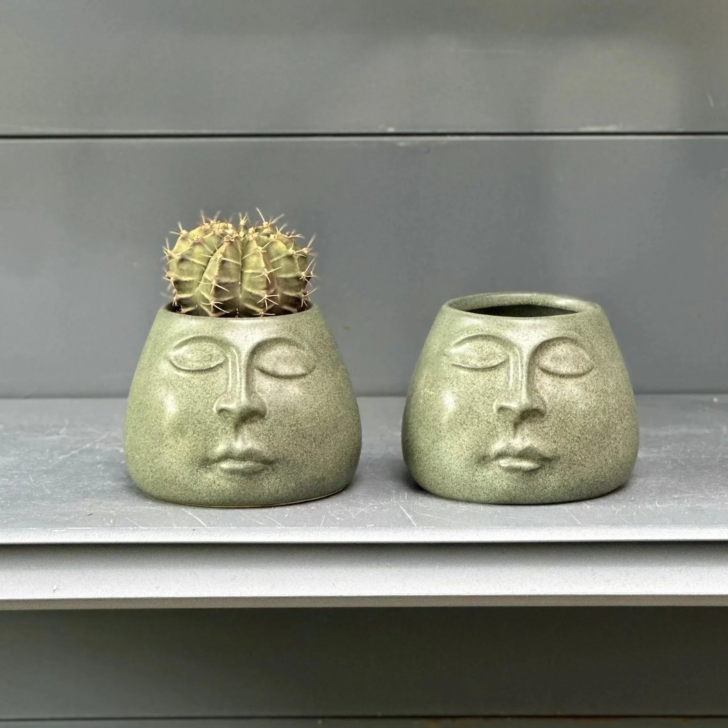 DecorBites™ Abstract Face Ceramic Flowerpot Vase Ashtray Plant Home Decor Accessories