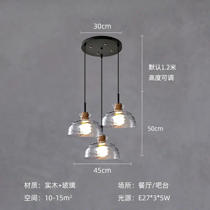 DecorBites™ Clear Glass Pendant Lamp with LED Lights for Home Decor