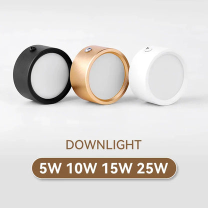 DecorBites™ LED Ceiling Spot Downlight for Home Kitchen Lighting