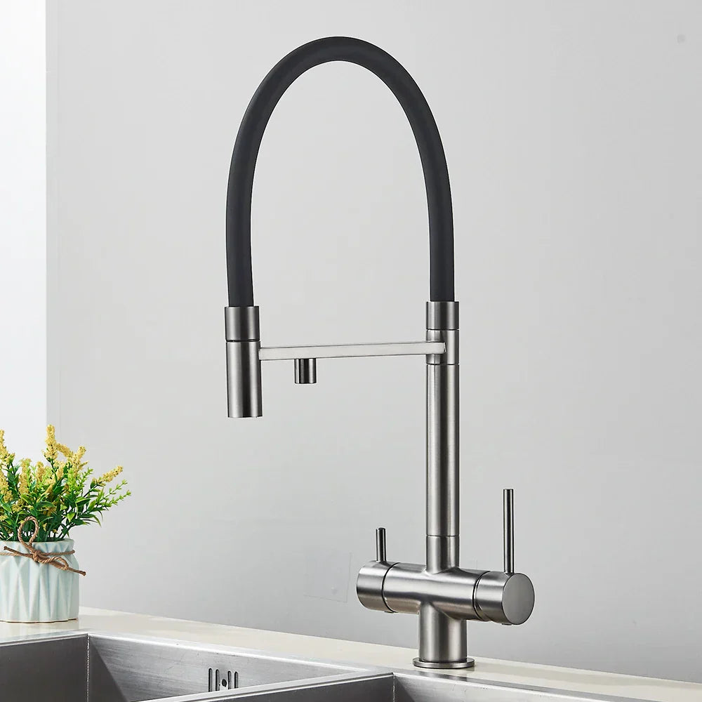 DecorBites™ Black Kitchen Faucet with Pull Down Sprayer and 2-in-1 Purification Technology
