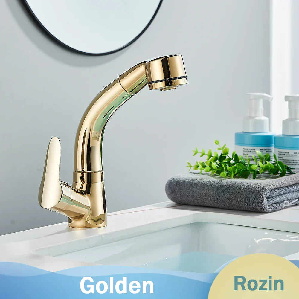 DecorBites™ Black Lift Basin Faucet with Pull Out Sprayer for Bathroom Sink - Dual Nozzle