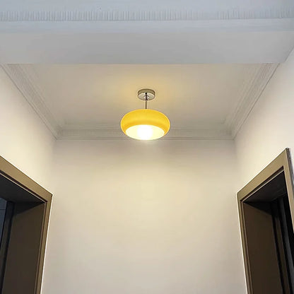 DecorBites™ Glass Copper LED Ceiling Light Fixture for Home Decor Porch Hallway Room