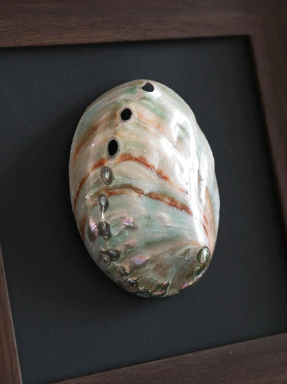 DecorBites™ Conch Shell Decorative Painting Frame Pendant Wall Ornaments