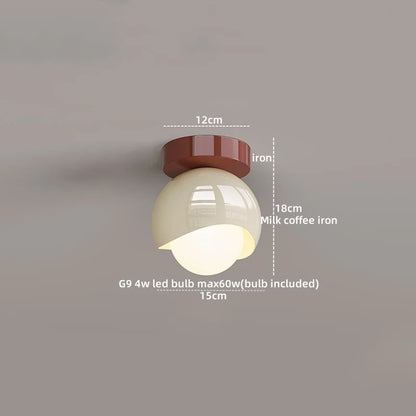 DecorBites™ Glass Iron LED Ceiling Lamp Light Fixtures Modern Home Decoration