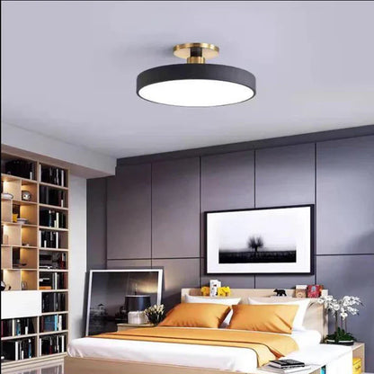 DecorBites™ LED Ceiling Lamp for Living Room Study Child Bedroom Indoor Lighting