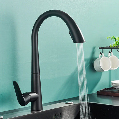 DecorBites™ Black Kitchen Faucet with Pull Out Sprayer and Single Lever Control