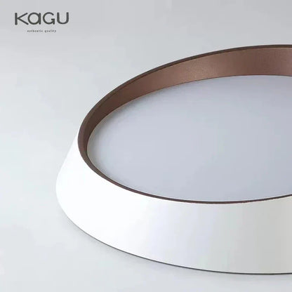 ™ LED Ceiling Chandelier: Modern Bedroom Room Lighting Fixture