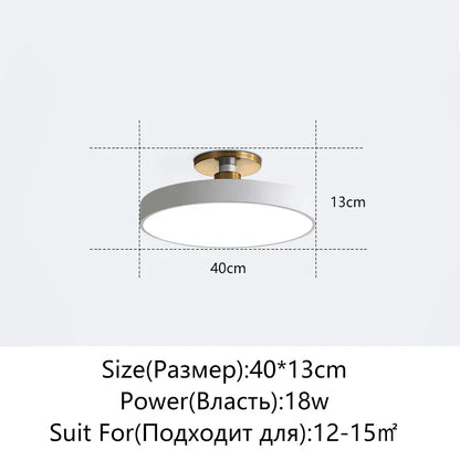 DecorBites™ LED Ceiling Lamp for Living Room Study Child Bedroom Indoor Lighting