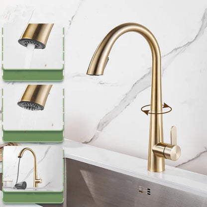DecorBites™ Black Brushed Gold Kitchen Faucet with Pull Out Spring Spout
