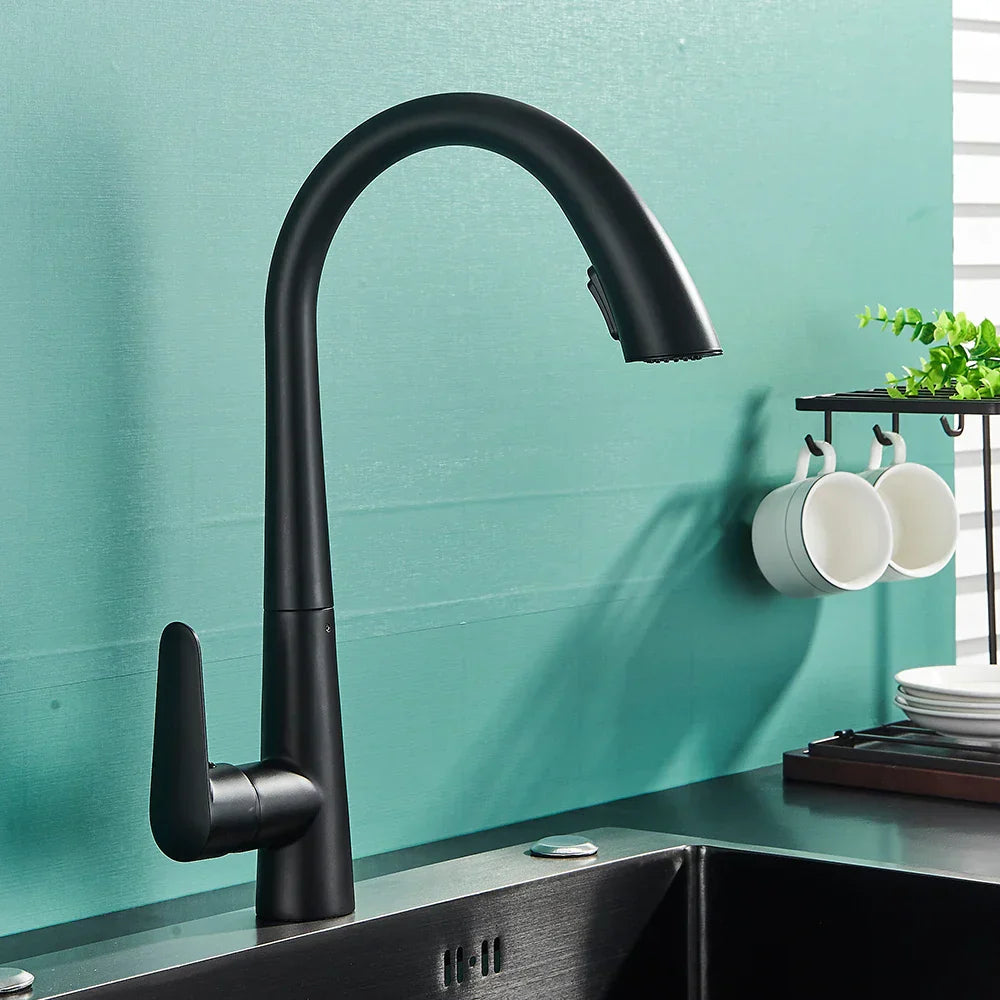 DecorBites™ Black Kitchen Faucet with Pull Out Sprayer and Single Lever Control