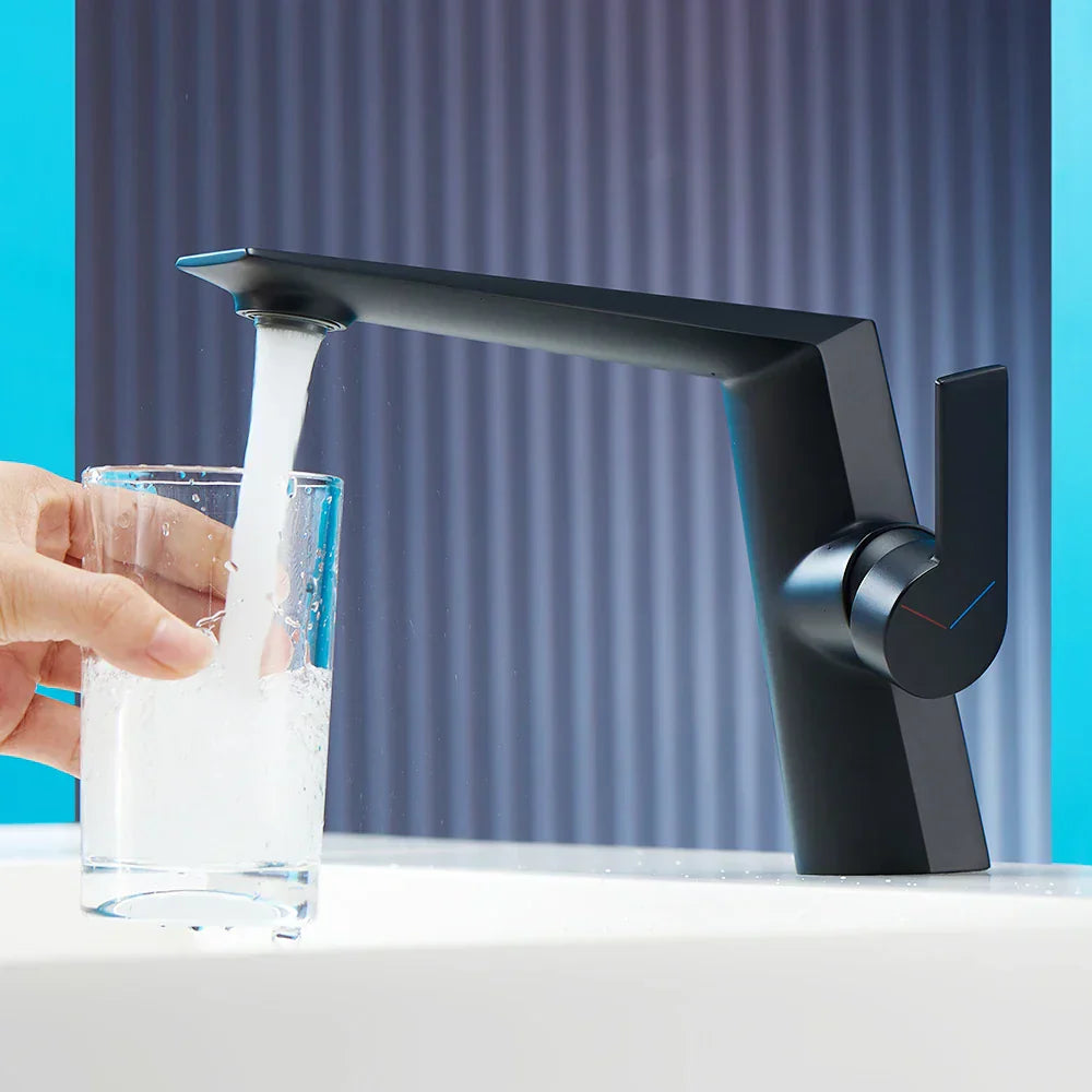 DecorBites™ Black Basin Faucet Single Handle Bathroom Sink Mixer Tap