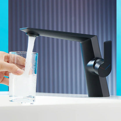 DecorBites™ Black Basin Faucet Single Handle Bathroom Sink Mixer Tap