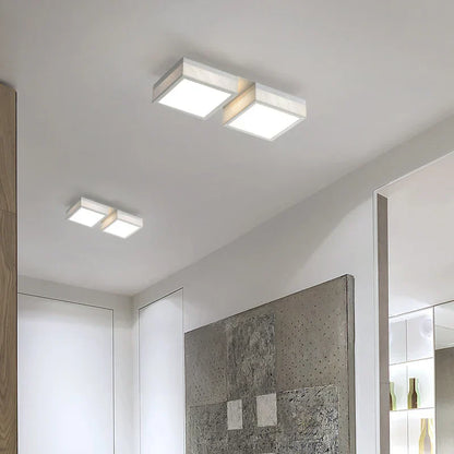 DecorBites™ Black White LED Ceiling Lights Modern Minimalist Bedroom Study Lighting Fixtures