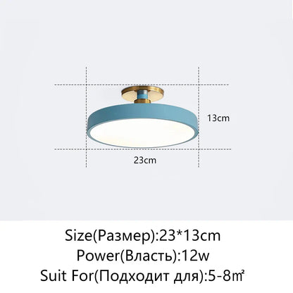 DecorBites™ LED Ceiling Lamp for Living Room Study Child Bedroom Indoor Lighting