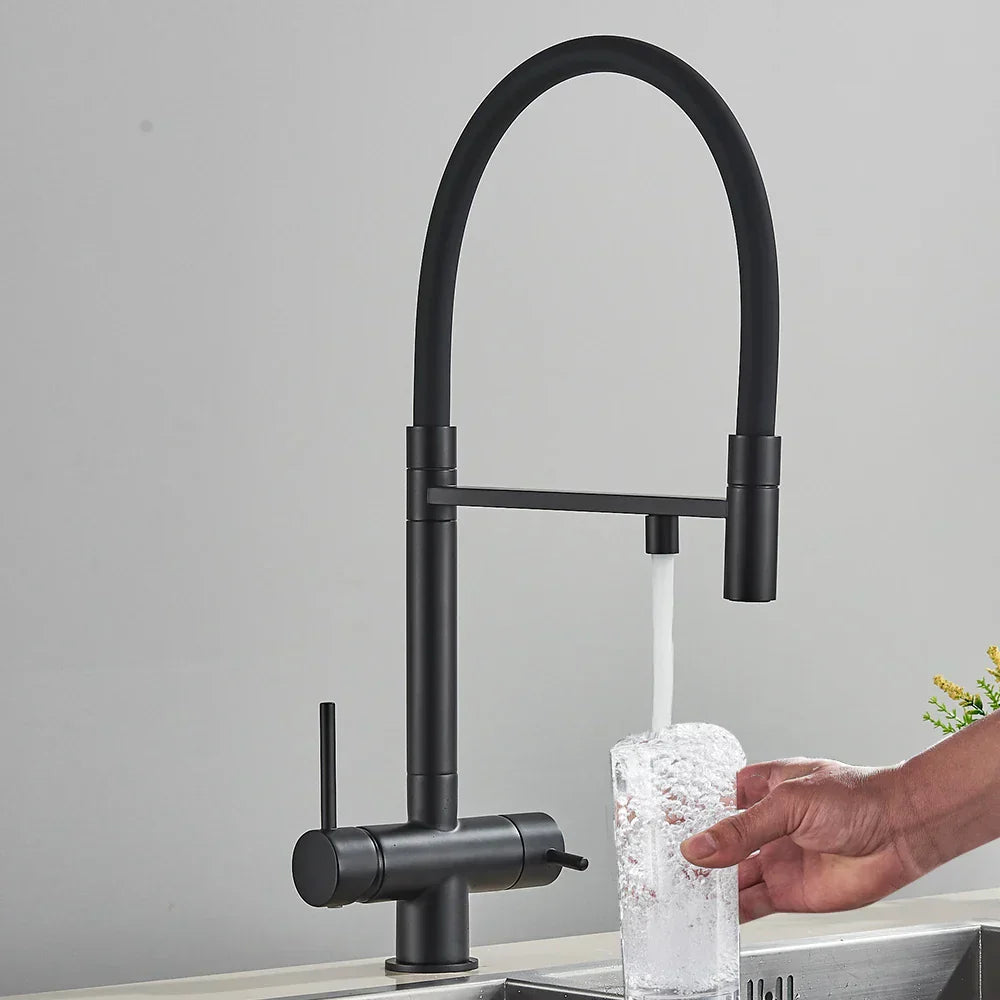 DecorBites™ Black Kitchen Faucet with Pull Down Sprayer and 2-in-1 Purification Technology
