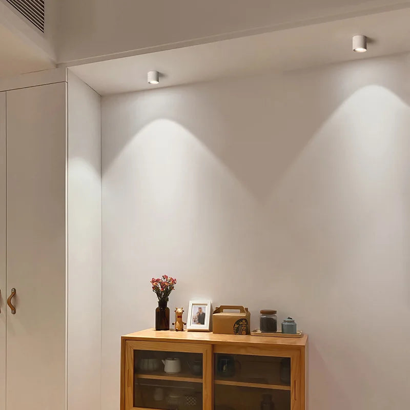 DecorBites™ Aluminum Ceiling Lamp: Cylindrical Surface Mounted Downlight with Adjustable Beam Angle