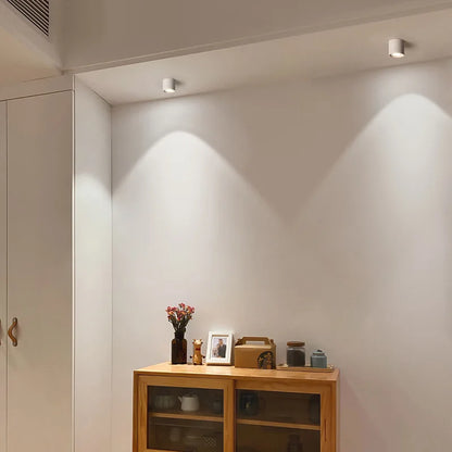 DecorBites™ Aluminum Ceiling Lamp: Cylindrical Surface Mounted Downlight with Adjustable Beam Angle