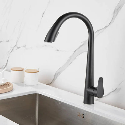 DecorBites™ Brushed Gold Kitchen Sink Faucet with Pull Out Spring Spout