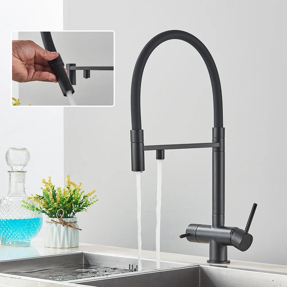 DecorBites™ Black Kitchen Faucet with Pull Down Sprayer and 2-in-1 Purification Technology