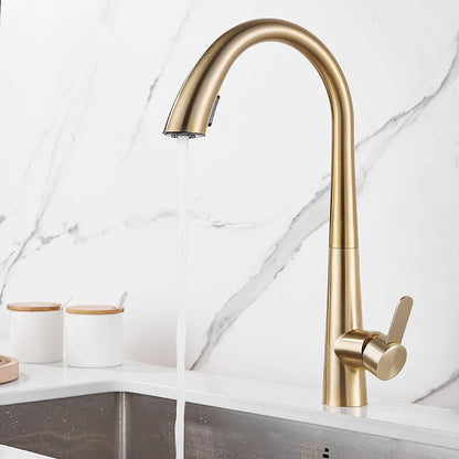 DecorBites™ Brushed Gold Kitchen Sink Faucet with Pull Out Spring Spout