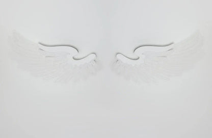 DecorBites™ Angel Wings RGB LED Wall Lamp for Living Room Bedroom Restaurant Bar