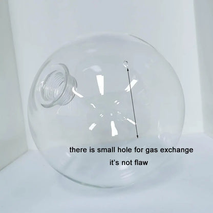 DecorBites™ Clear Glass Pendant Lamp Shade with 2.2cm Thread for Chandeliers & Hanging Lights
