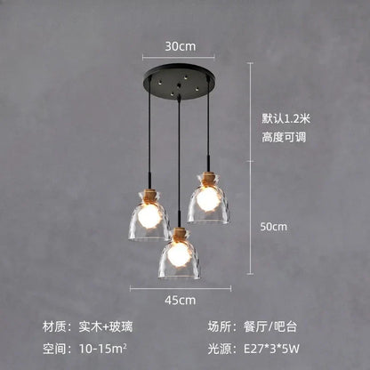 DecorBites™ Clear Glass Pendant Lamp with LED Lights for Home Decor