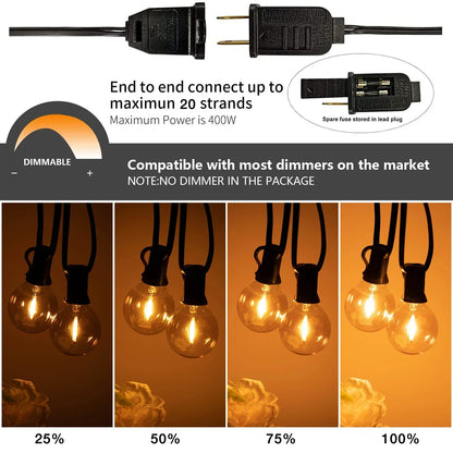 DecorBites™ Amber Glass Bulb Dimmable LED String Lights Connectable for Party Wedding Decor