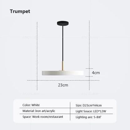 DecorBites™ LED Study Disc Pendant Light for Bedroom Living Room Office Decor