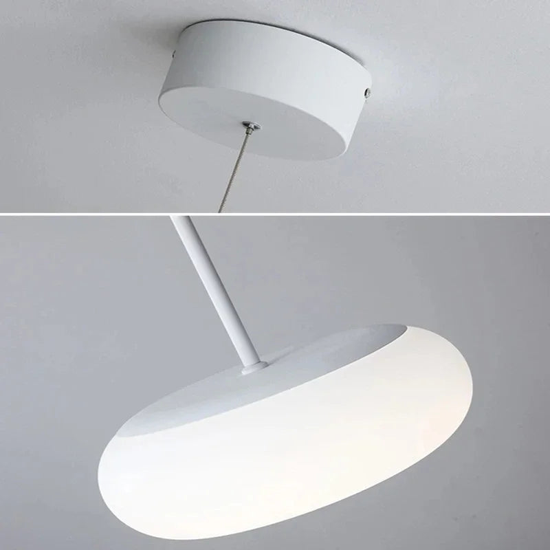 2024 DecorBites™ Eco-Friendly PE Ceiling Pendant Lamp for Kitchen Bedroom LED Interior Lighting